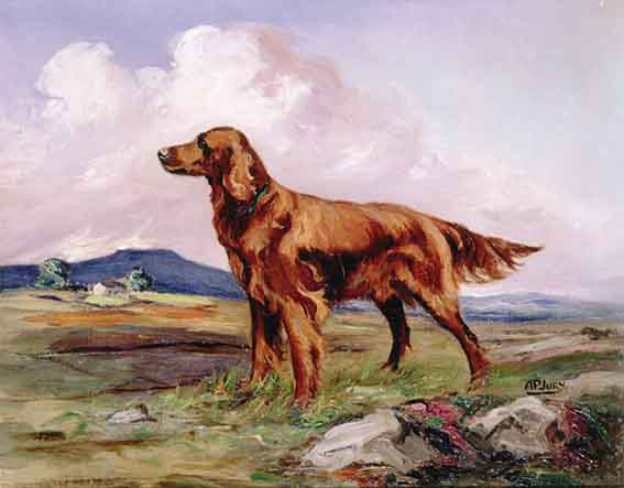 IRISH SETTERS by Anne Primrose Jury sold for 2,100 at Whyte's Auctions