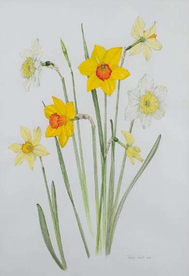 DAFFODILS by Wendy F. Walsh sold for 2,500 at Whyte's Auctions