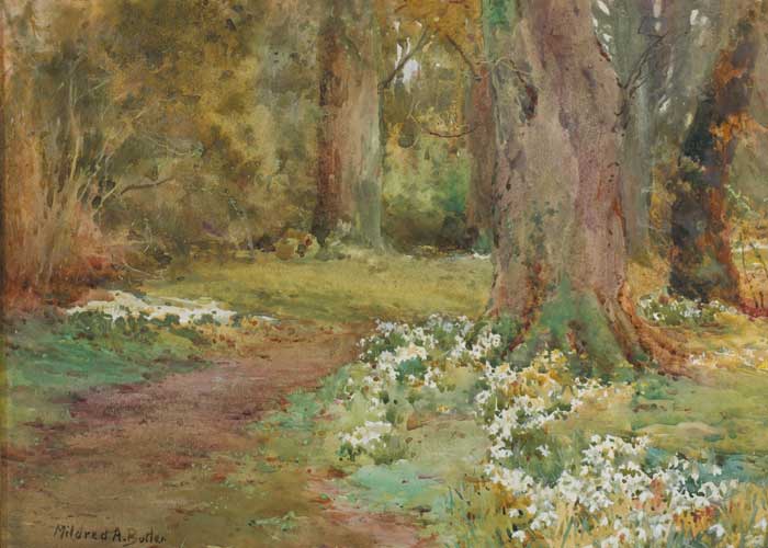 WOODLAND WITH SNOWDROPS, EARLY SPRING by Mildred Anne Butler RWS (1858-1941) at Whyte's Auctions