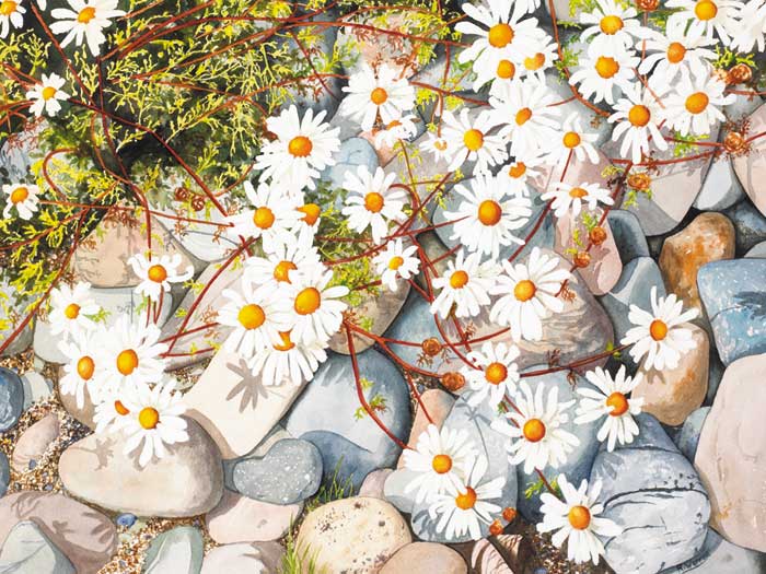 SEASHORE GARDEN by Rosemary Warren sold for 400 at Whyte's Auctions