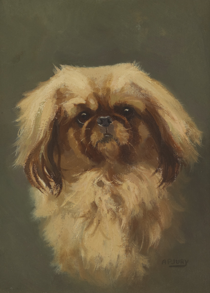 PEKINGESE DOG by Anne Primrose Jury sold for 500 at Whyte's Auctions