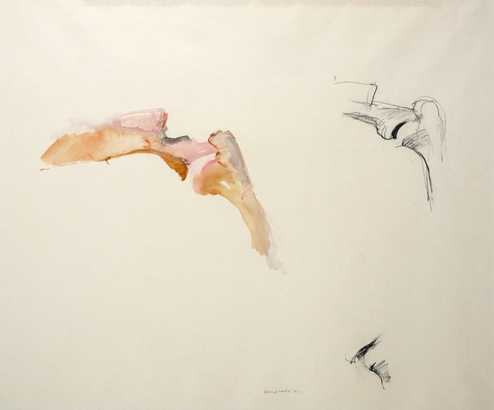 BONE DRAWING, 1971 by Barrie Cooke HRHA (1931-2014) at Whyte's Auctions