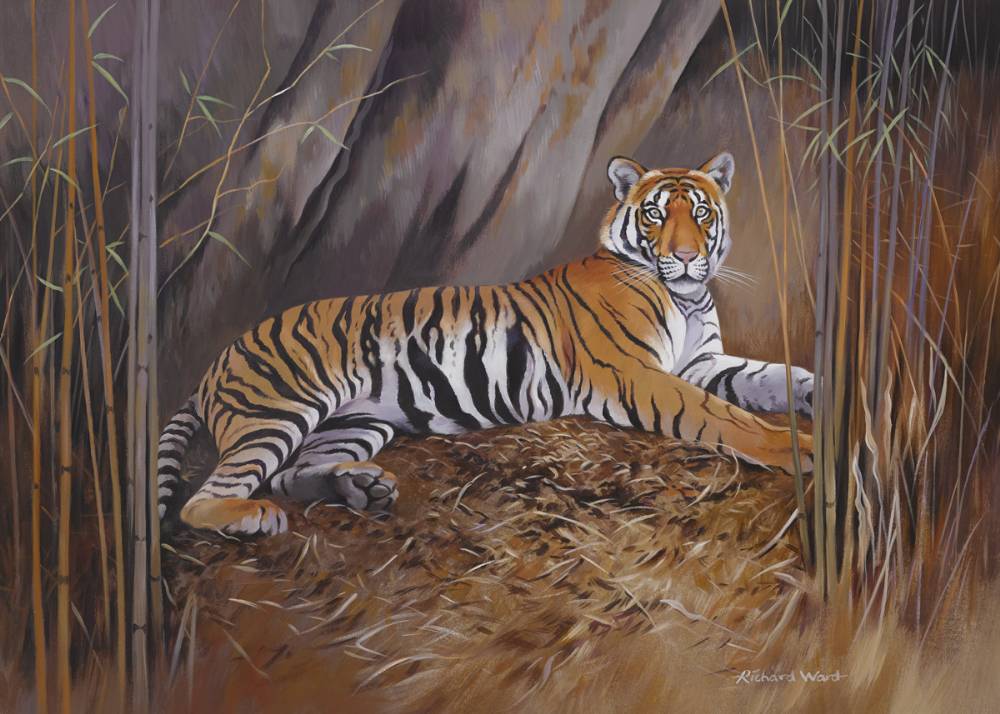 TIGER by Richard Ward sold for 320 at Whyte's Auctions