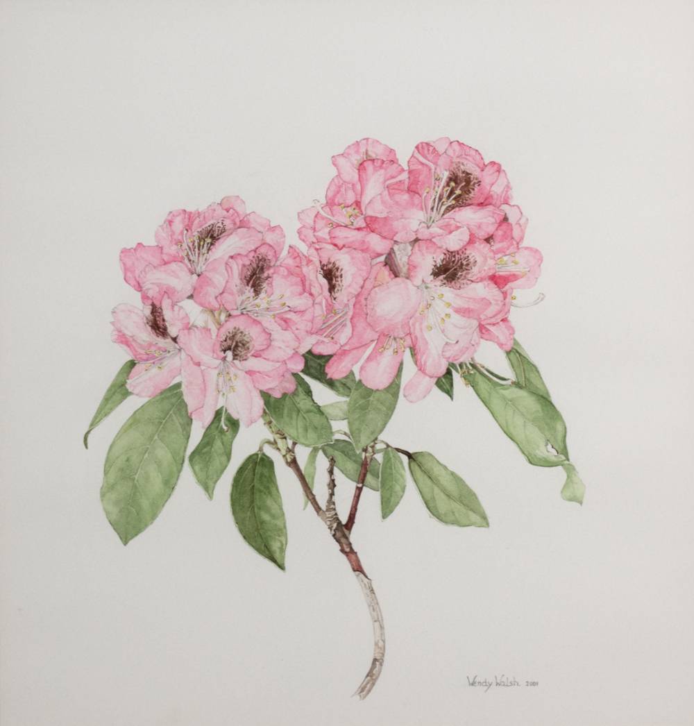 FLOWER STUDY, 2001 by Wendy F. Walsh sold for 1,000 at Whyte's Auctions