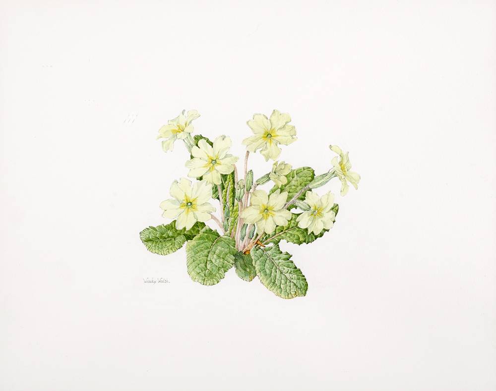 FLOWER STUDY by Wendy F. Walsh sold for 680 at Whyte's Auctions