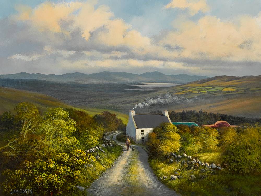 OVERLOOKING BANTRY BAY, COUNTY CORK by Liam Jones sold for 290 at Whyte's Auctions
