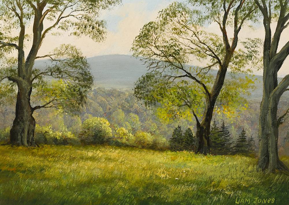 POWERSCOURT, COUNTY WICKLOW by Liam Jones sold for 200 at Whyte's Auctions