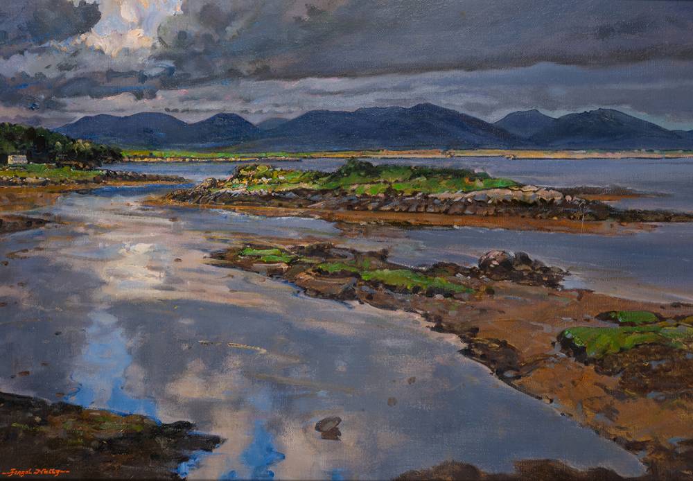 ROUNDSTONE, CONNEMARA, 2006 by Fergal Nally  at Whyte's Auctions