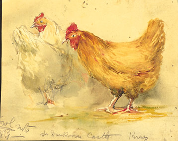 STUDY OF HENS by William Bingham McGuinness sold for �1,015 at Whyte's Auctions