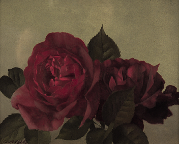 STUDY OF ROSES by Patrick Hennessy RHA (1915-1980) at Whyte's Auctions