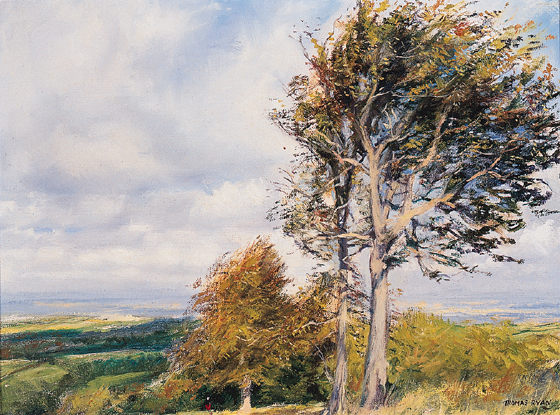 DUBLIN FROM THE PINE FOREST by Thomas Ryan PPRHA (1929-2021) at Whyte's Auctions