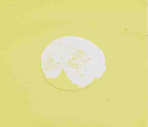 LEMON WITH YELLOW BACKGROUND by Louis le Brocquy HRHA (1916-2012) HRHA (1916-2012) at Whyte's Auctions
