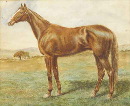 ORBY - WINNER OF ENGLISH AND IRISH DERBIES by R. Barclay (Irish, early 20th century) (Irish, early 20th century) at Whyte's Auctions