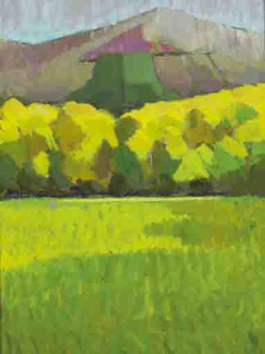 MEADOW (COUNTY WICKLOW) by Robert Lynn sold for �1,400 at Whyte's Auctions