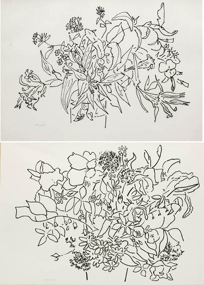 NATURE STUDIES (A PAIR) by Melanie le Brocquy HRHA (1919-2018) at Whyte's Auctions