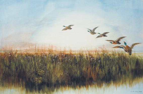FLIGHT OF MALLARDS OVER A MARSH by Andrew Nicholl RHA (1804-1886) RHA (1804-1886) at Whyte's Auctions