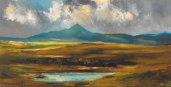 BOG LANDSCAPE WITH MOUNTAINS BEYOND by C. McLoughlin (Irish school, circa 1970s) at Whyte's Auctions