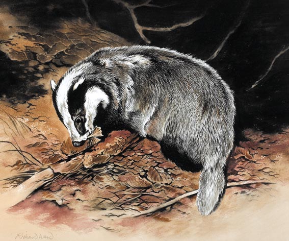 BADGER FEEDING by Richard Ward (b.1944) at Whyte's Auctions