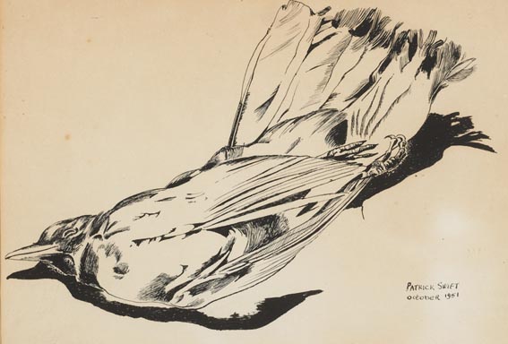 BIRD by Patrick Swift (1927-1983) at Whyte's Auctions
