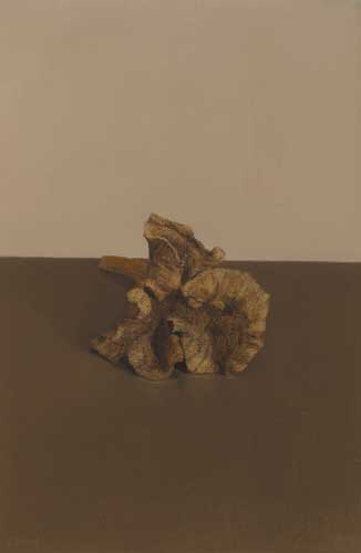 CHANTERELLE MUSHROOM by Comhghall Casey ARUA (b.1976) at Whyte's Auctions