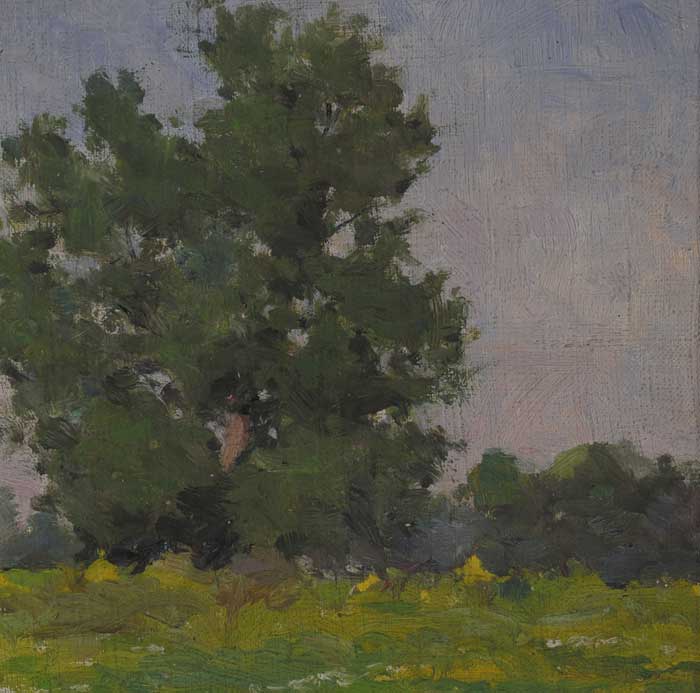 TREE STUDY, SUMMERTIME by Michael Healy (1873-1941) (1873-1941) at Whyte's Auctions