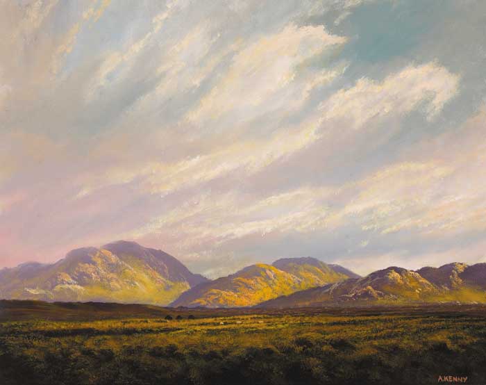 MOUNTAINS AND BOG, WEST OF IRELAND by Alan Kenny (b.1965) at Whyte's Auctions