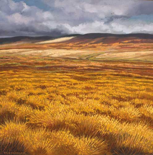 ORANGE PLAIN, 1987 by Trevor Geoghegan sold for �1,050 at Whyte's Auctions