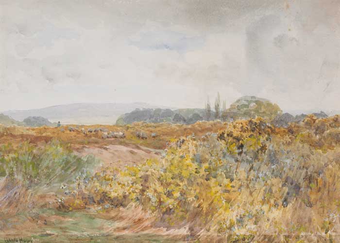 FIELD FLOWERS WITH FLOCK OF SHEEP BEYOND by Claude Hayes RI ROI (1852-1922) at Whyte's Auctions