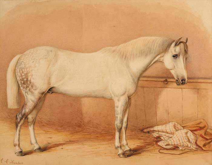 A DAPPLED GREY HUNTER IN A STABLE by Robert Richard Scanlan (1801-1876) at Whyte's Auctions