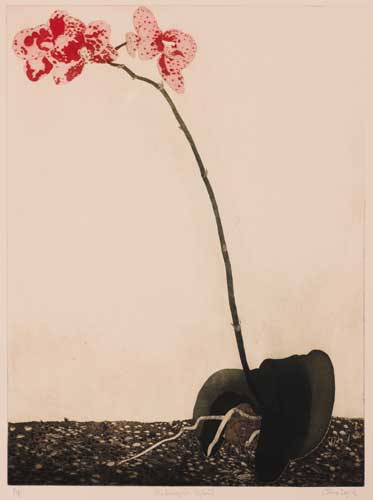PHALAENOPSIS HYBRID by Cliona Doyle (b.1968) at Whyte's Auctions
