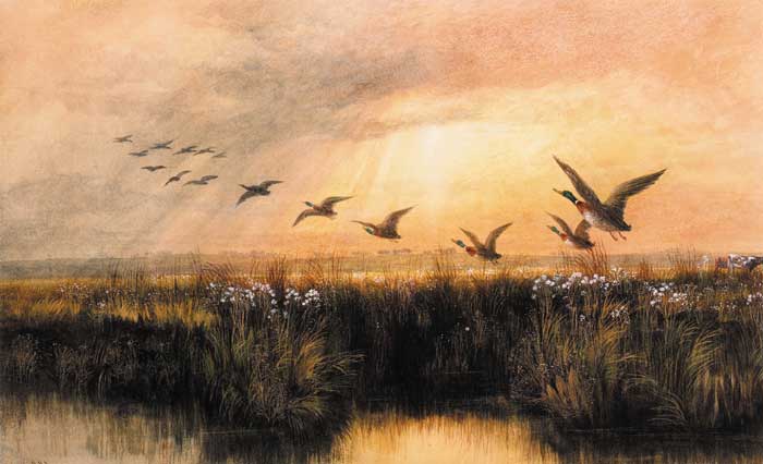 MALLARDS IN FLIGHT by Andrew Nicholl sold for 4,600 at Whyte's Auctions