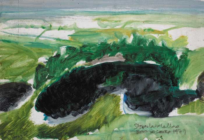 STONES LAKE, COUNTY CLARE, 1979 by Barrie Cooke sold for �4,200 at Whyte's Auctions