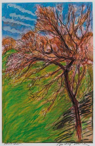 WHITETHORN by Brian Bourke HRHA (b.1936) at Whyte's Auctions