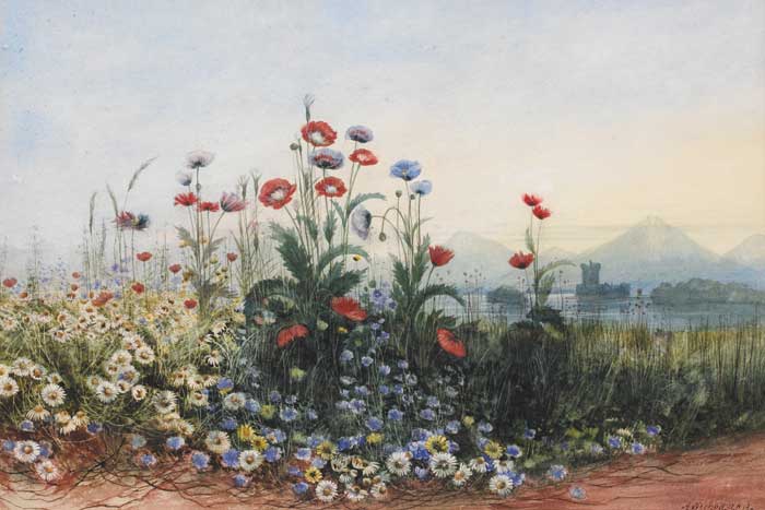 BANK OF WILDFLOWERS WITH A ROSS CASTLE, KILLARNEY, IN THE DISTANCE by Andrew Nicholl RHA (1804-1886) RHA (1804-1886) at Whyte's Auctions