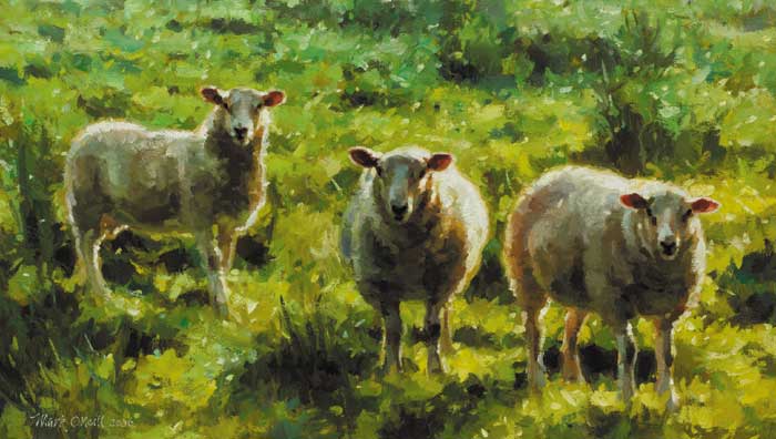 THREE WHITE SHEEP, 2006 by Mark O'Neill (b.1963) at Whyte's Auctions