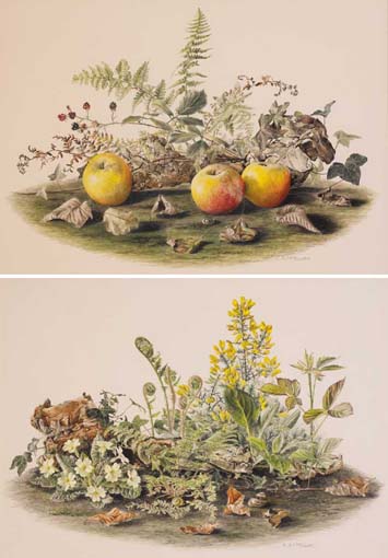 PRIMROSES AND FERNS and APPLES AND BRAMBLE (A PAIR) by Elizabeth McEwan RUA UWS USWA RUA UWS USWA at Whyte's Auctions