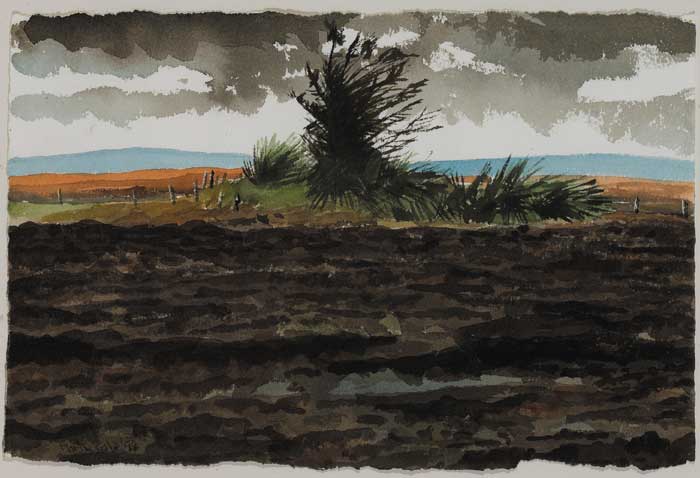 FURTHER WEST, 1999 by Martin Gale sold for �1,200 at Whyte's Auctions