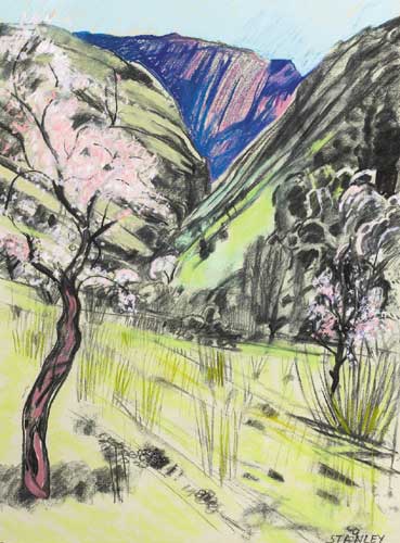 WILD ALMOND IN VALLEY, circa 1995 by Jacqueline Stanley HRHA ARCA (b.1928) at Whyte's Auctions