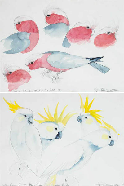 WALLY-PINK GALAH, LAWN HILL, QUEENSLAND, AUSTRALIA, 1989 and SULPHUR CRESTED COCKATOO, ADEL'S GROVE by Philip Blythe (b.1962) at Whyte's Auctions