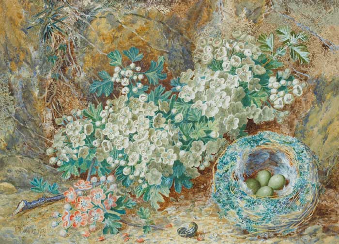 BIRDS NEST AND WILD FLOWERS, 1879 by Thomas Frederick Collier (1825-1885) at Whyte's Auctions
