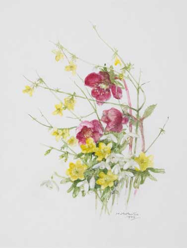WILD FLOWERS, 1994 by Mary McMurtrie (Scottish, 1902-2003) at Whyte's Auctions