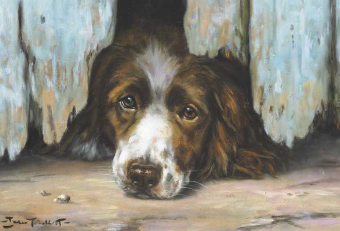 UNDERDOG by John Trickett sold for �3,000 at Whyte's Auctions