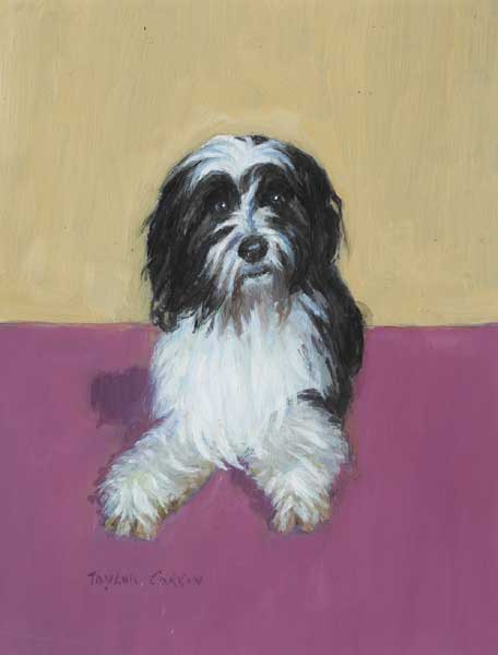 `CONALL' (THE TIBETAN TERRIER), 1997 by Robert Taylor Carson HRUA (1919-2008) at Whyte's Auctions