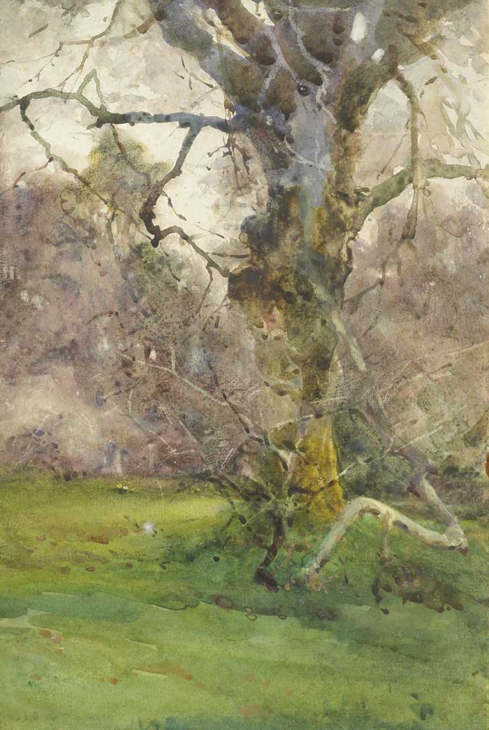 TREE IN THE GROUNDS AT KILMURRY, COUNTY KILKENNY by Mildred Anne Butler RWS (1858-1941) at Whyte's Auctions