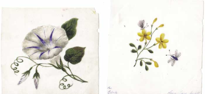 Constance, Anne and Roger Gore-Booth A Collection Of Miniature Watercolour Drawings" at Whyte's Auctions