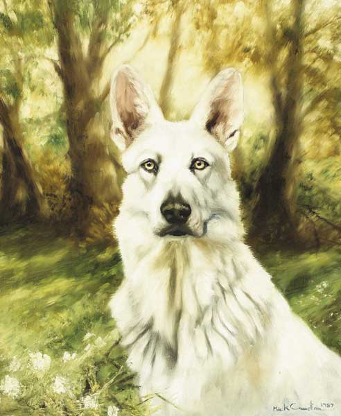 WHITE GERMAN SHEPHERD, 1987 by Mick Cawston (1959-2006) at Whyte's Auctions