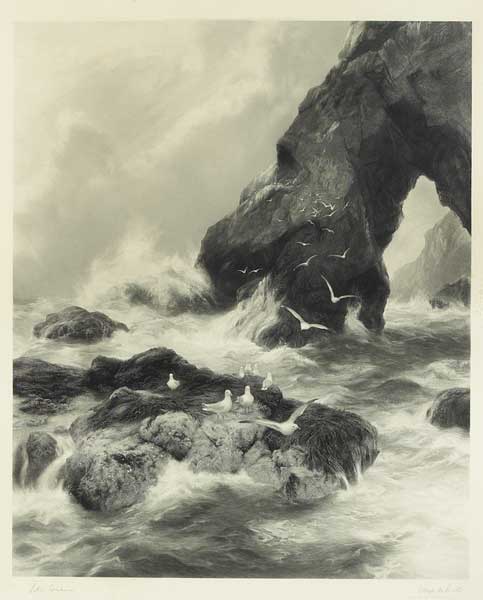 SEAGULLS ON THE CLIFFS by Peter Graham RA (Scottish, 1836-1921) at Whyte's Auctions