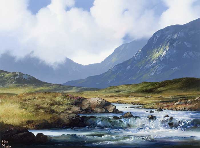 CONNEMARA MOUNTAIN STREAM, 2008 by Eileen Meagher (b.1946) at Whyte's Auctions