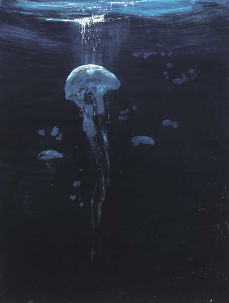 JELLYFISH by Jennifer Kingston sold for �400 at Whyte's Auctions