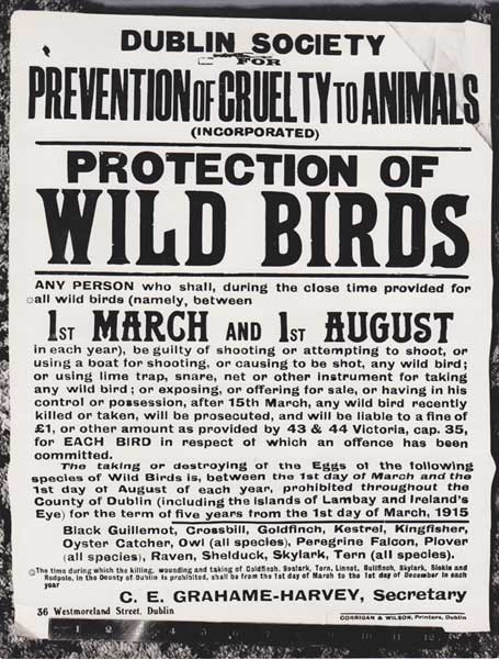 Circa 1920. Dublin Society for Prevention of Cruelty to Animals - Protection of Wild Birds poster at Whyte's Auctions